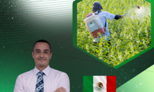 Fungicidas Agrícolas