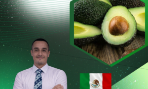 Uso de plaguicidas en cultivo de palto (Aguacate)