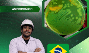 Producción de pseudomonas fluorescens