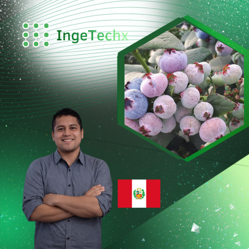Control de Botrytis "Podredumbre gris" en cultivo de arándanos y vid.