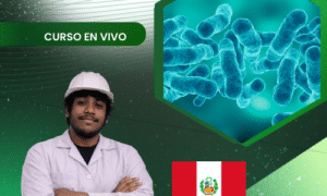 Producción de Bacillus spp: Desarrollo de Biofertilizantes y Bioplaguicidas