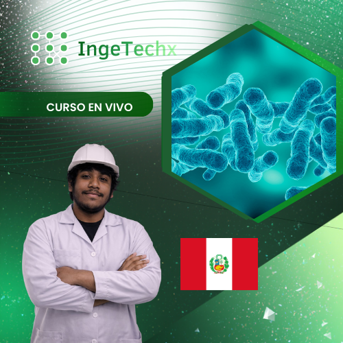 Producción de Bacillus spp: Desarrollo de Biofertilizantes y Bioplaguicidas