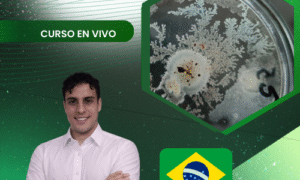 Producción artesanal de cristales de bacillus thuringiensis