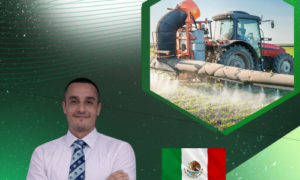 Coadyuvante agroquímico