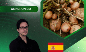 Manejo Fitosanitario Integrado en Papa (Solanum tuberosum)