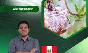 Fitopatógenos en la agroindustria