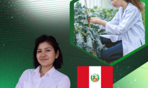Entomología general: morfología de insectos