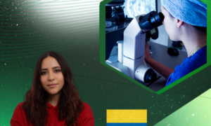 Inyección intracitoplasmática del espermatozoide (ICSI)