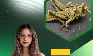 Producción de Metarhizium anisopliae