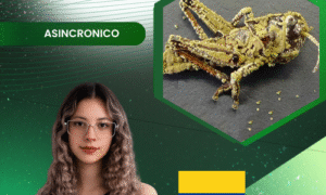 Producción de Metarhizium anisopliae