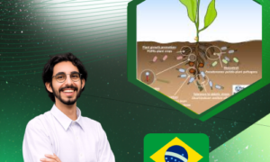 Microorganismos benéficos para el crecimiento (MOB's)