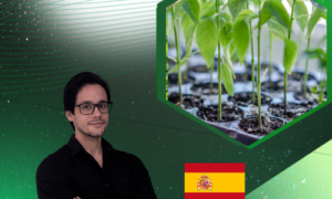 Mejoramiento y rendimiento agrícola: respuesta molecular y fisiológica al estrés biótico