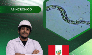 Producción de hongos biocontroladores contra nemátodos