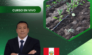 Programación de fertirriego y nutrición de cultivos