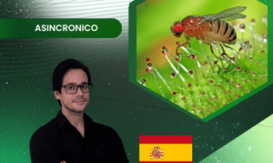 Manejo Integrado de la Mosca de la Fruta