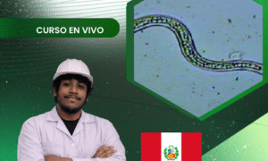 Producción de hongos biocontroladores contra nemátodos