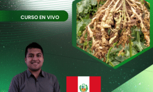 Nematodos en cultivos agrícolas