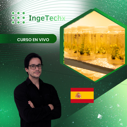 Micropropagación in vitro de arándanos