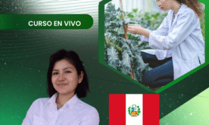 Entomología general: morfología de insectos