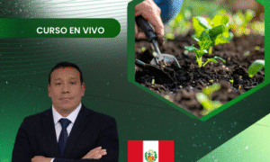 Bioestimulación de cultivos: uso y funcionalidades