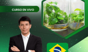 Cultivo de tejidos vegetales