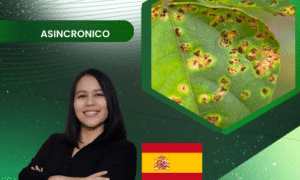 Patógenos Vegetales: virus y bacterias