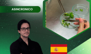 Establecimiento de laboratorios de cultivo in vitro y técnicas de micropropagación