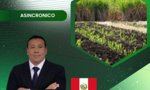 Bioestimulación de cultivos: usos y funcionalidades