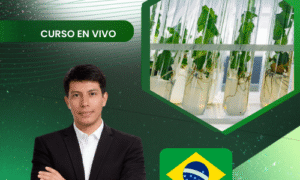 Micropropagación Vegetal