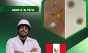 Producción de Purpureocillium sp.