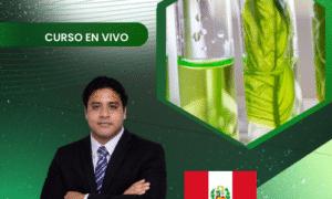 Fitoquímica: separación y purificación de metabolitos