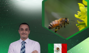 INSECTOS BENÉFICOS PARA LA AGRICULTURA
