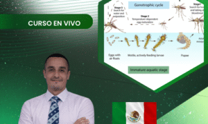 ENTOMOLOGÍA AGRÍCOLA