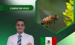 INSECTOS BENÉFICOS PARA LA AGRICULTURA