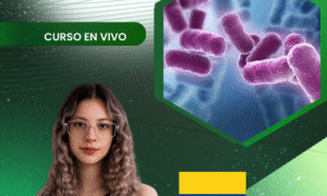 Producción de Bacillus subtilis