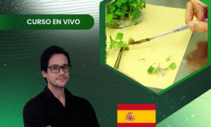 Cultivo de Meristemos