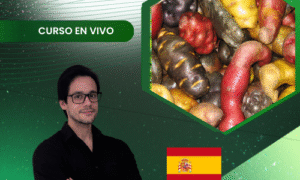 Extracción de ADN en Raíces y Tubérculos Andinos