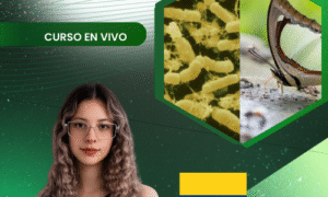 Producción de Bacillus thuringiensis