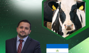 Inseminación Artificial de Bovinos
