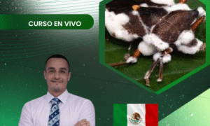 Hongos Entomopatógenos