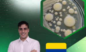 Microbiologia de suelo: Mejoramiento de suelos